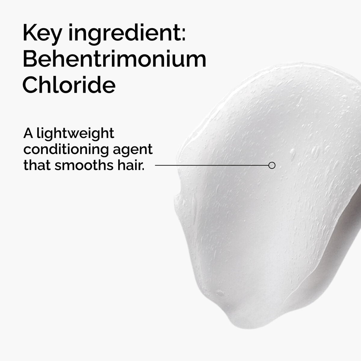 behentrimonium-chloride-2-conditioner-n4 FY25-D41247-ORD-Web-PDP-BTC-1x1-EN-2a.jpg