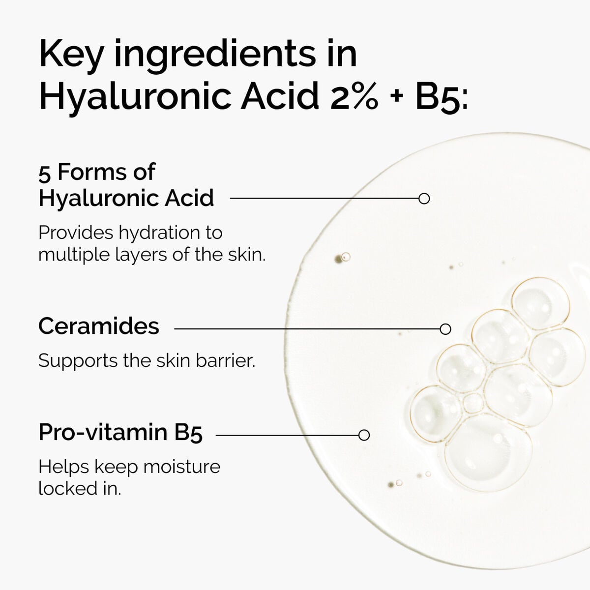 hyaluronic-acid-2-b5-with-ceramides-f0 ord-hyaluronic-acid-2pct-b5-hydrating-serum-ingredients-graphic.jpg